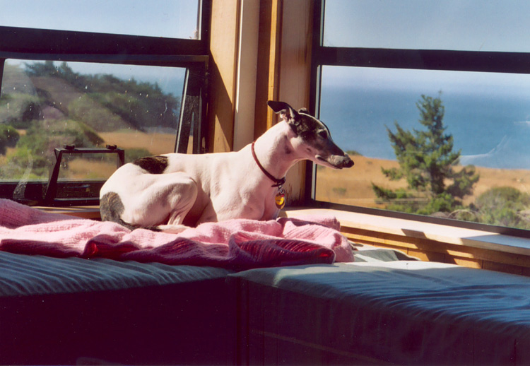 Sea Ranch