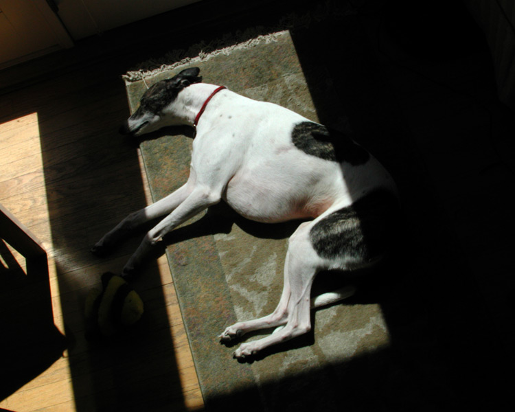 A Place in the Sun
